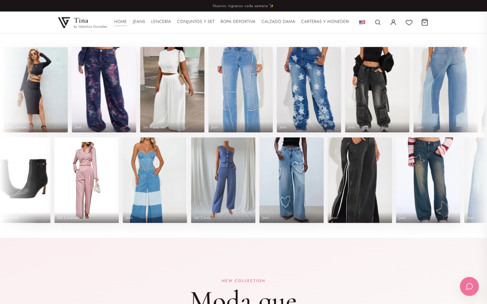 Tienda en línea Tina by VG en computadora
